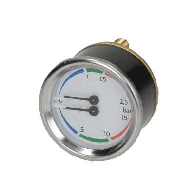 Double Scale Pressure Gauge — Bar