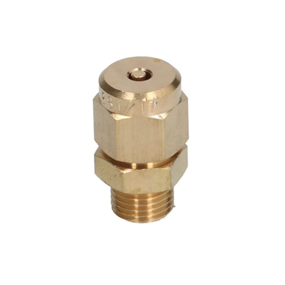 1/4" Brass Anti-Vacuum Valve — Catalog Product