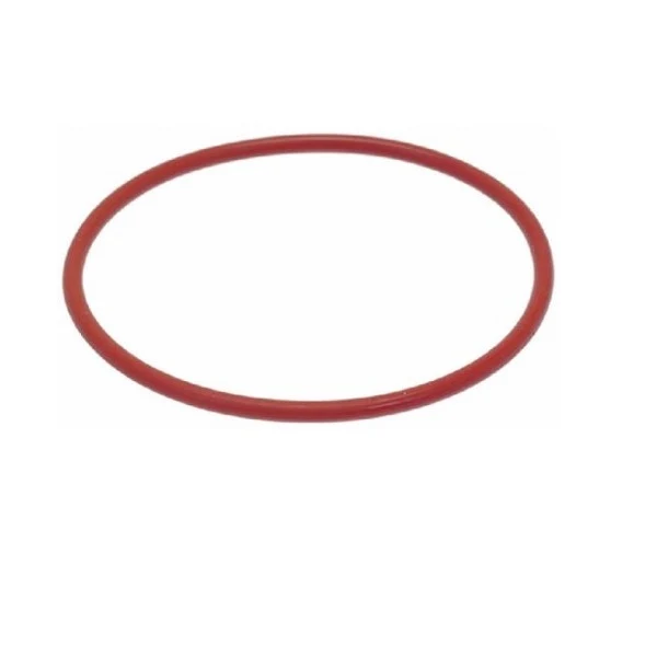O-Ring 0176 Silicone — Catalog Product