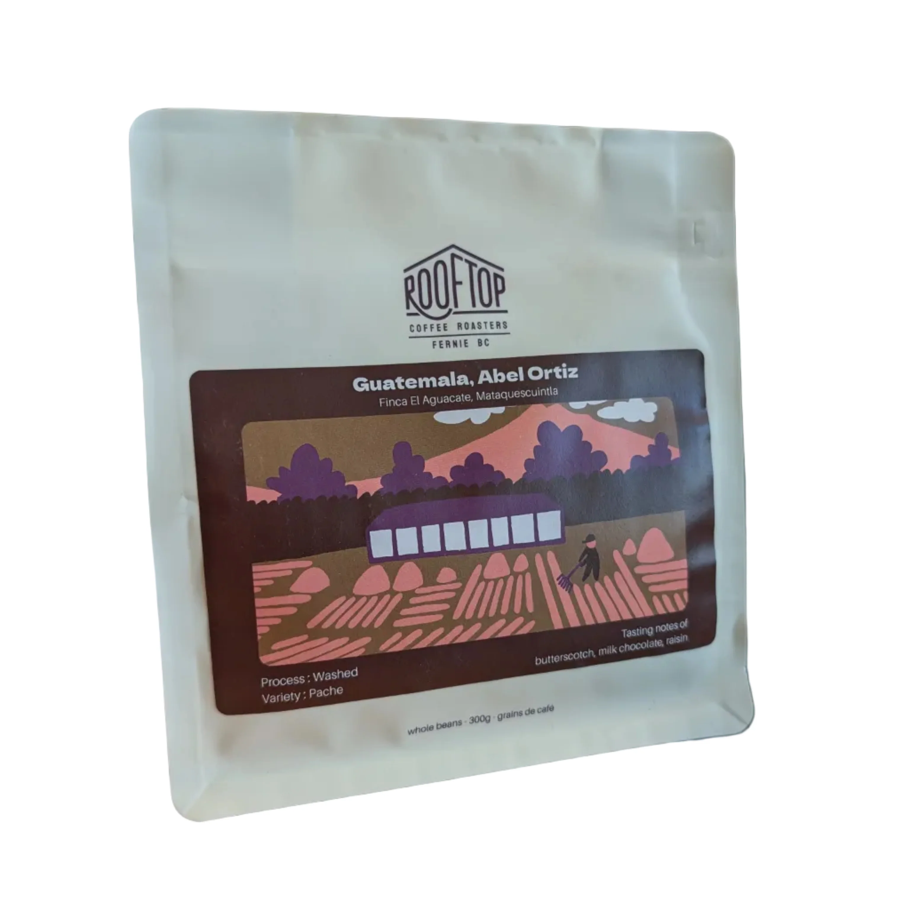 Rooftop Coffee Roasters Rooftop - Guatemala - Abel Ortiz Coffee Beans — Tea