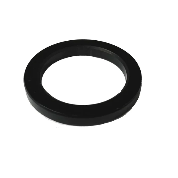 Ascaso Group Head Gasket (Old Version) — Catalog Product