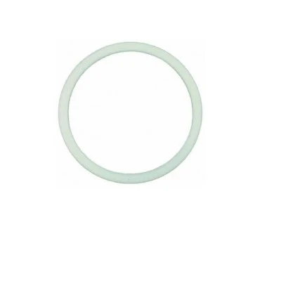 PTFE Gasket (36x30x2mm) — Catalog Product