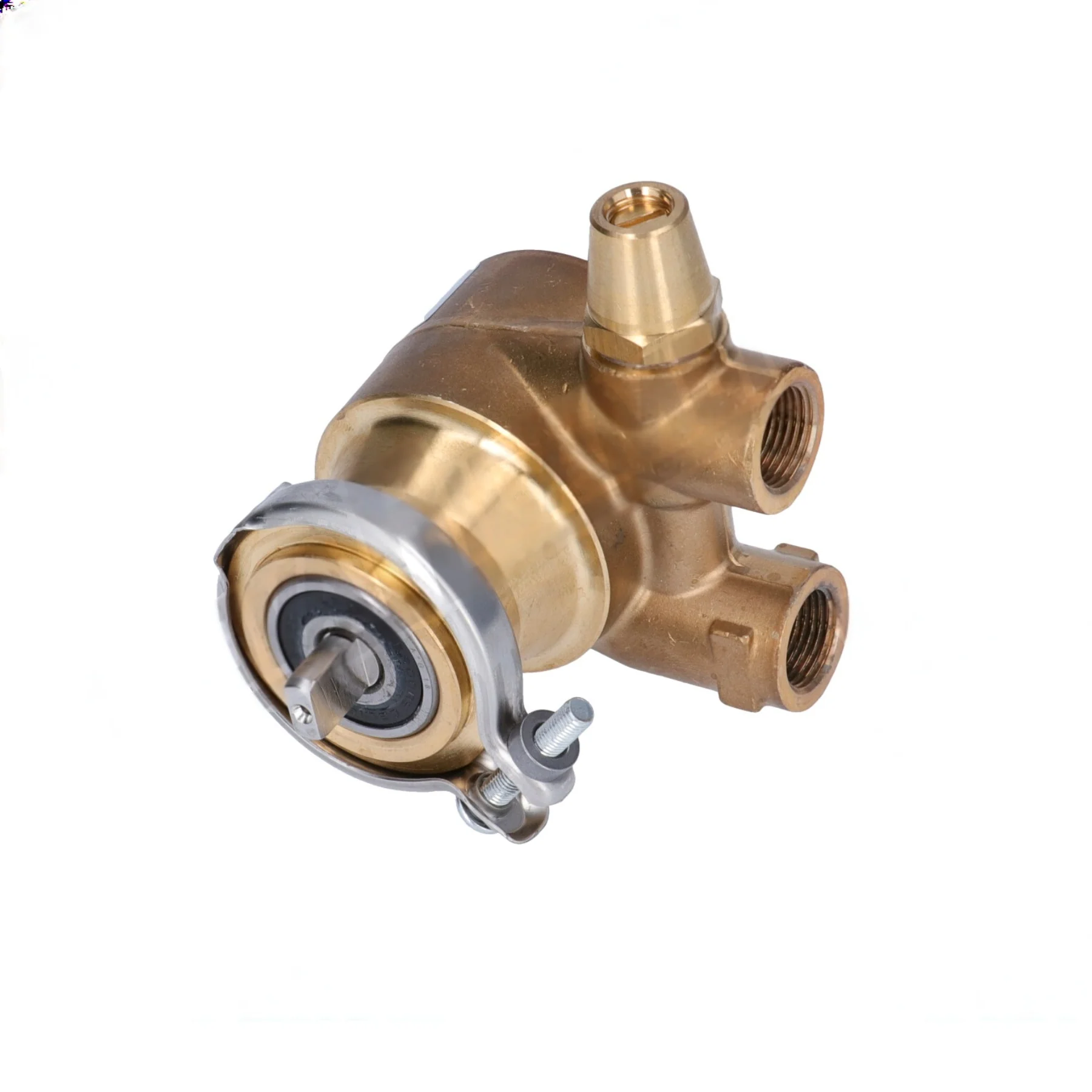 Nuert Rotary Vane Water Pump (50L/h) — Catalog Product