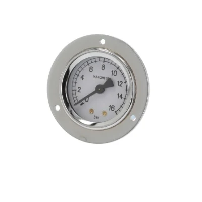Pump Pressure Gauge ø 52 mm — Bar